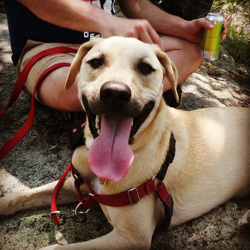 Meet your Posher, Amelia